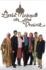 Watch Little Mosque on the Prairie Megavideo